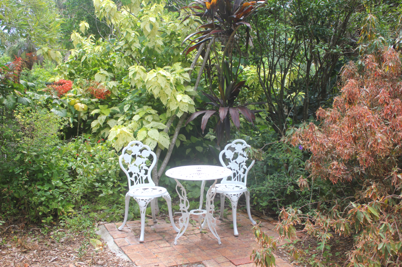 Ornate white chairs and table surrounded by greenery
