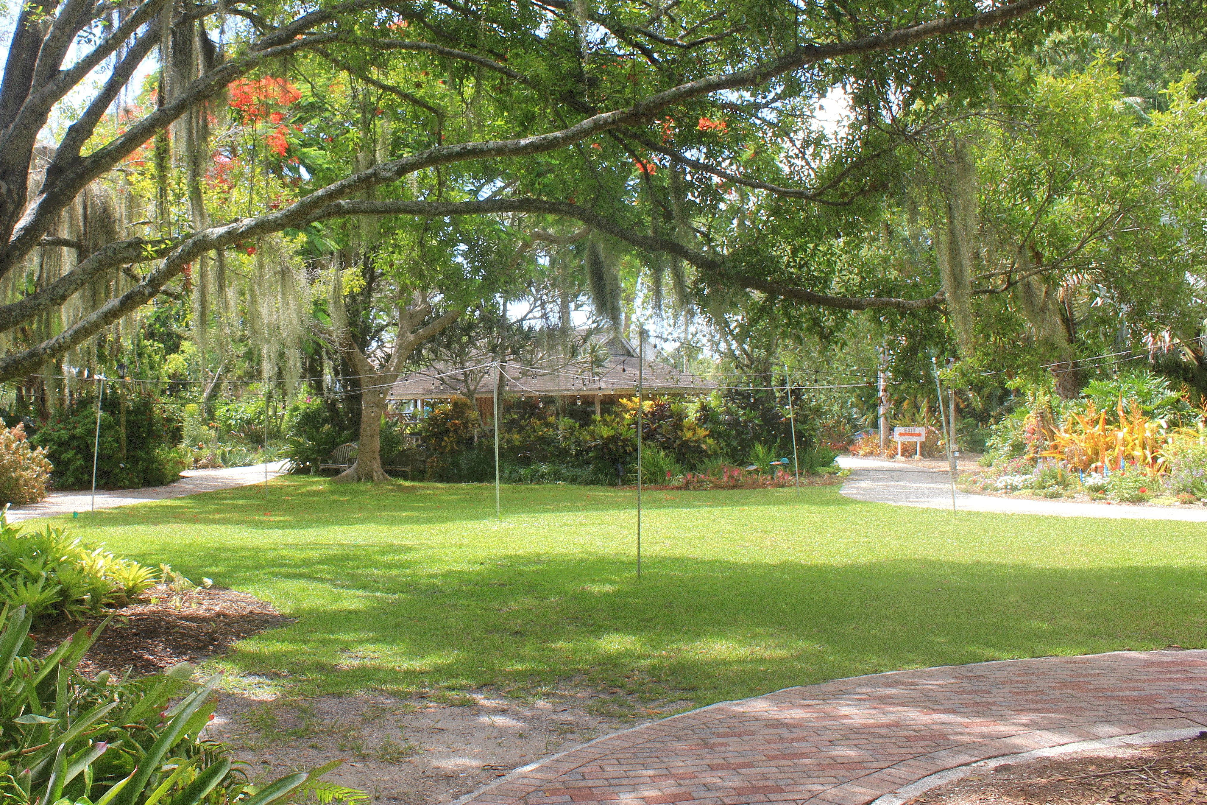 Heathcote's front lawn featuring a view under the tree with Spanish Moss