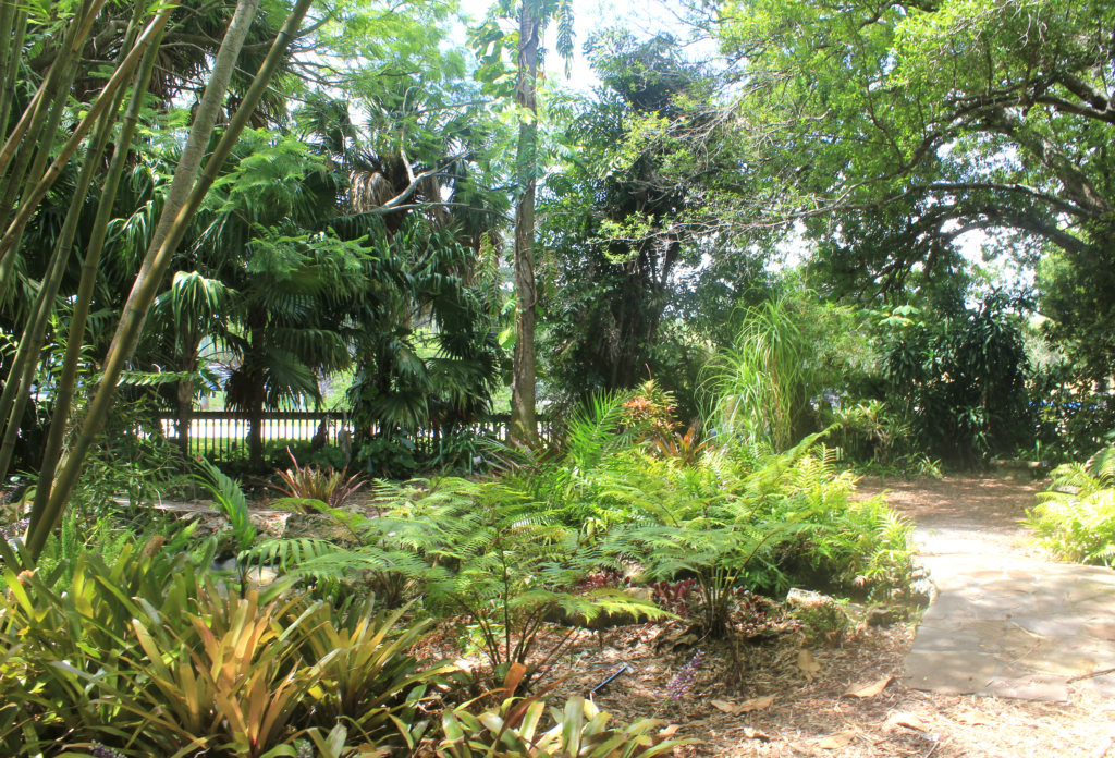 View of second bridge in Heathcote's rainforest garden