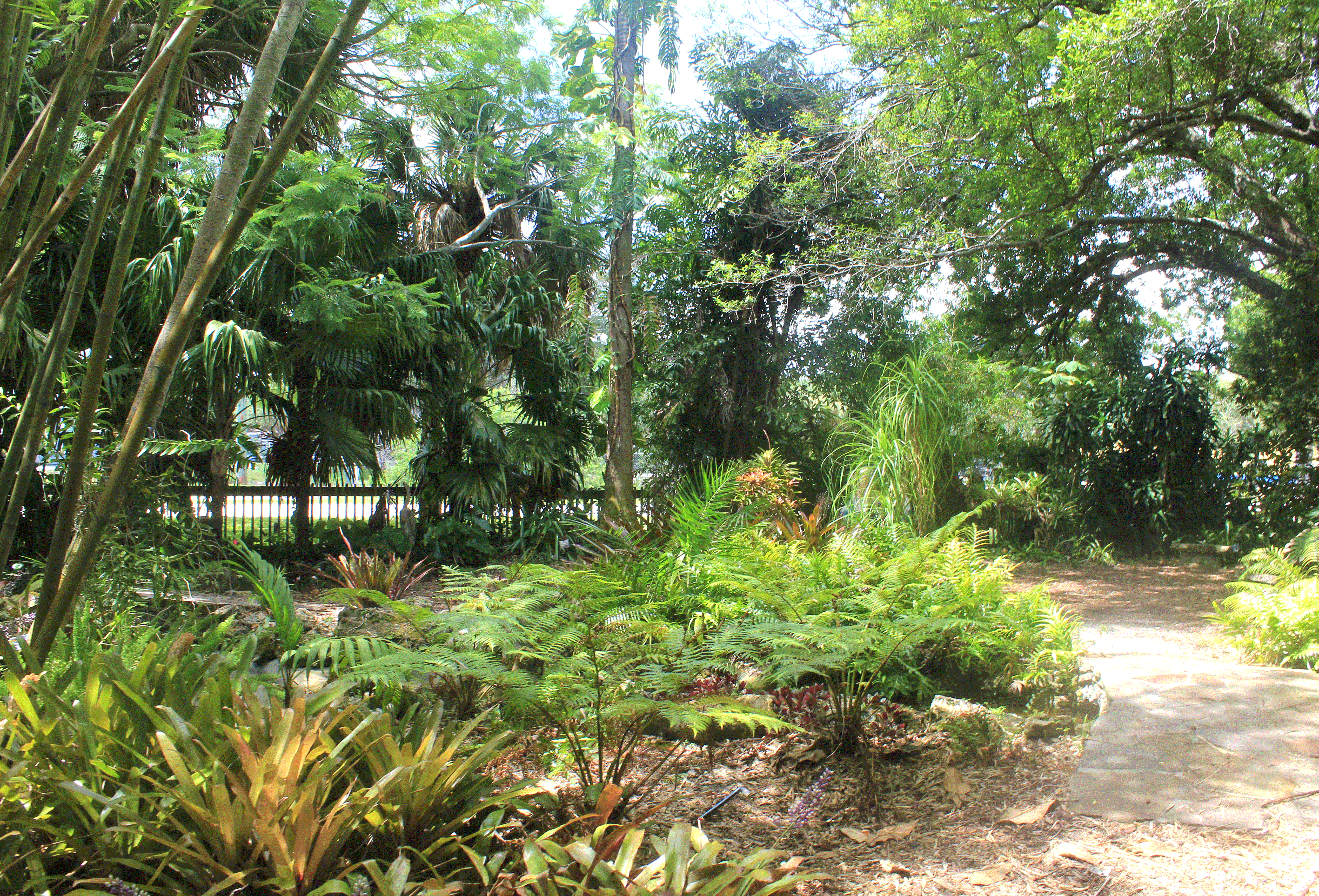 View of second bridge in Heathcote's rainforest garden